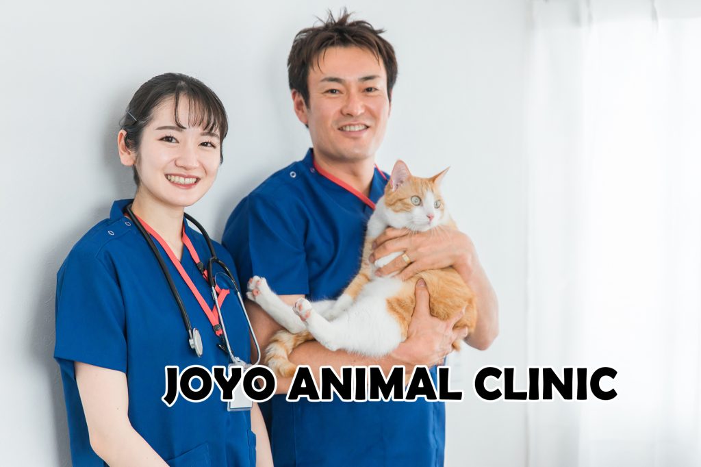 【サンプル記事】「ペット動物病院」ー皆様の大切なご家族の一員の健康管理