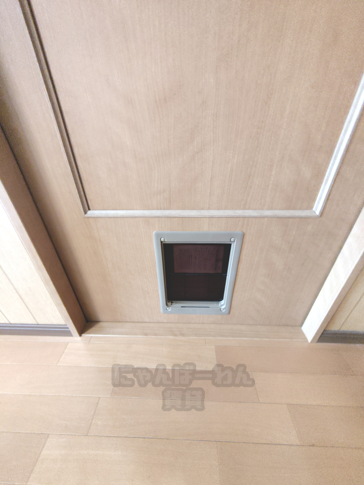 京都府宇治市莵道田中のペット可賃貸物件の室内ドア下部に設置された犬・猫用のペットドア