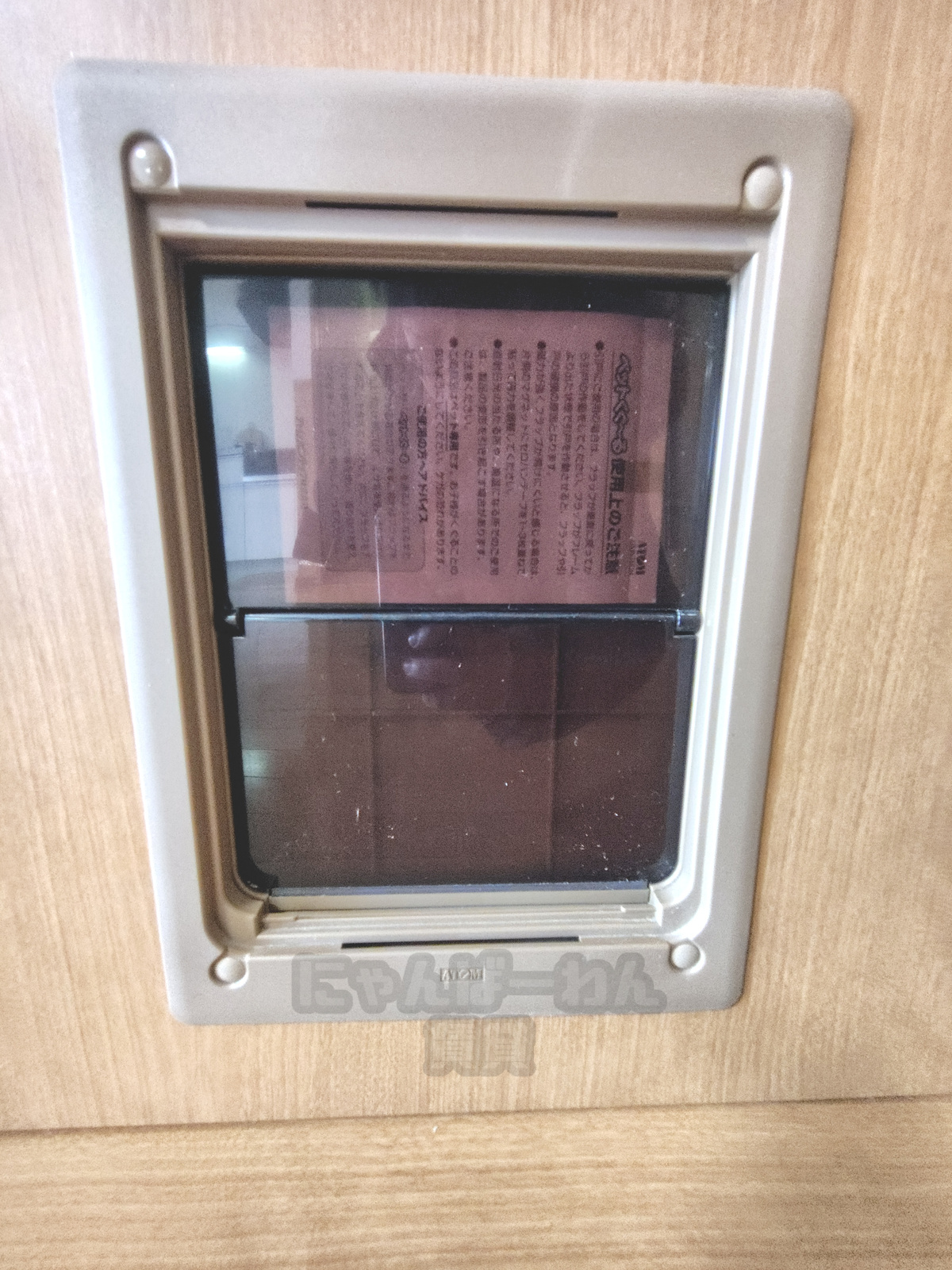 京都府宇治市莵道田中のペット可賃貸物件の室内ドアにあるペット用くぐり戸の近影